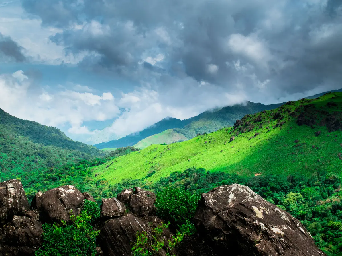 Exploring Coorg and Ooty - the Southern gems of India