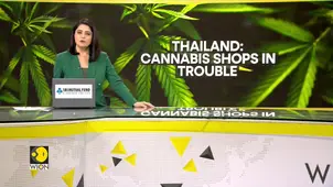 Thailand Cannabis Shops Face Mass Closures; New Laws Shrink Market 