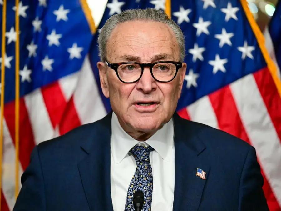 ‘Victory for Americans and US economy’: Democrats rejoice over SCOTUS ruling against Trump’s tariffs