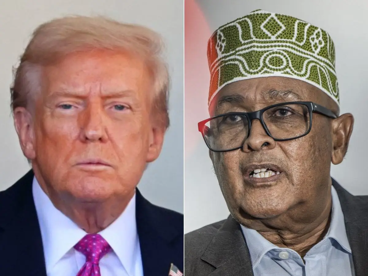 ‘We are open to offer’: Somaliland willing to give minerals, military bases to US