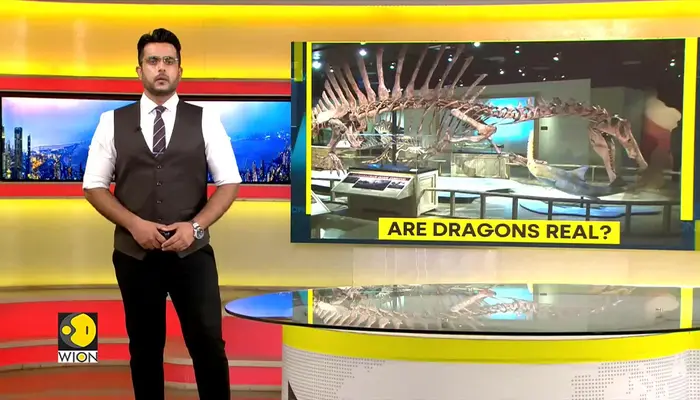Sahara Sands Reveal Dragon Like Terror: New Species of Apex Predator Stuns Researchers