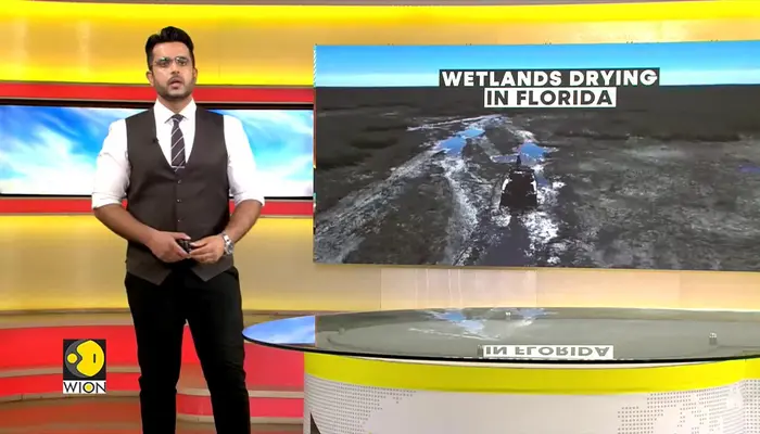 Florida drought: Everglades drying out due to Florida drought, tourism at risk