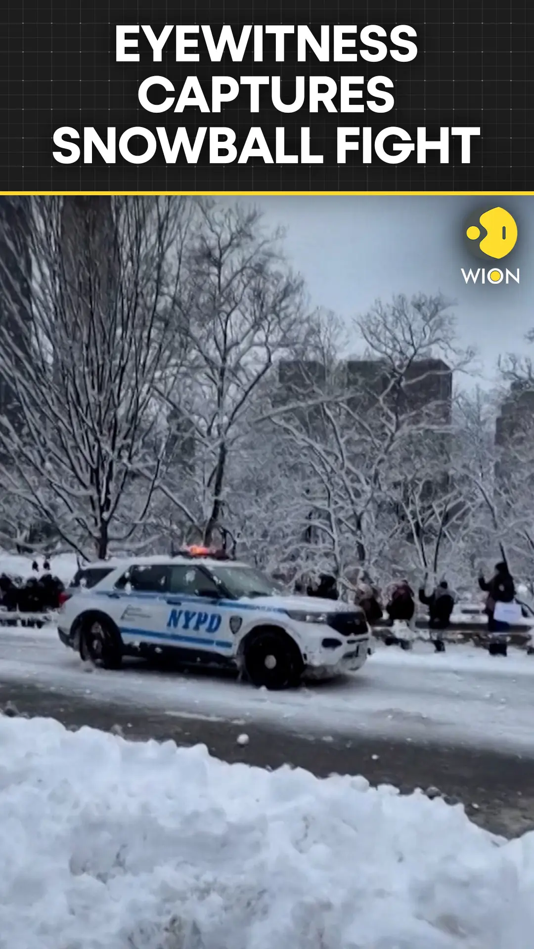Eyewitness Footage: Snowball Fight Targets NYPD Vehicle in Central Park