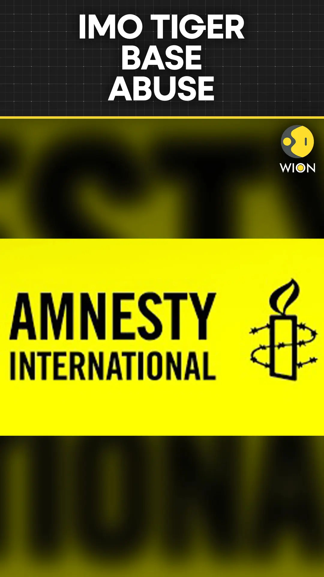 Amnesty Alleges Torture and Killings at Imo Tiger Base