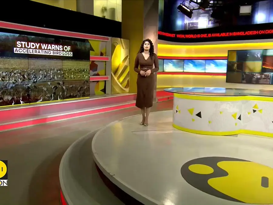 Study Warns Of Accelerating Bird Loss Across North America | WION