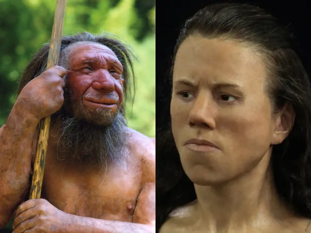 Human women preferred Neanderthal men. This solves a major DNA mystery Human women preferred Neanderthal men. This solves a major DNA mystery