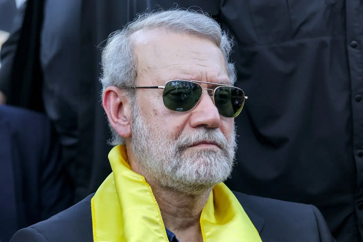 Interim leadership mechanism