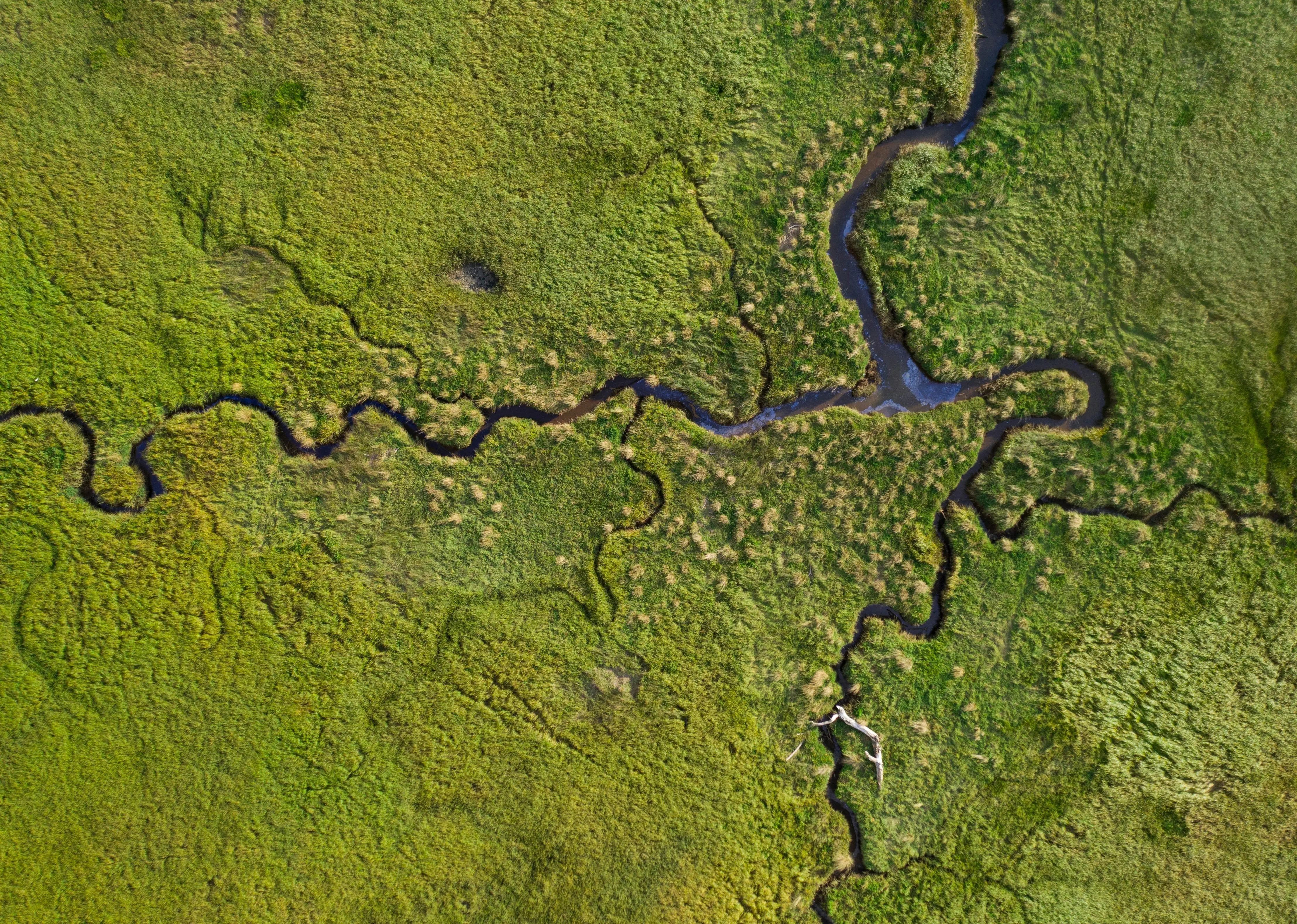 Scientists say African cellar is emitting ancient material. It has a deadly leak