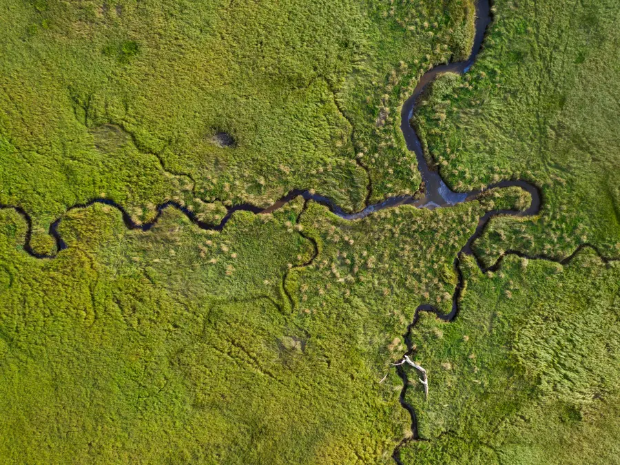 Scientists say African cellar is emitting ancient material. It has a deadly leak