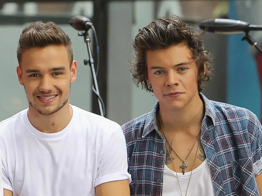 Harry Styles breaks silence on former One Direction bandmate Liam Payne's death: 'I really struggled with kind of life'