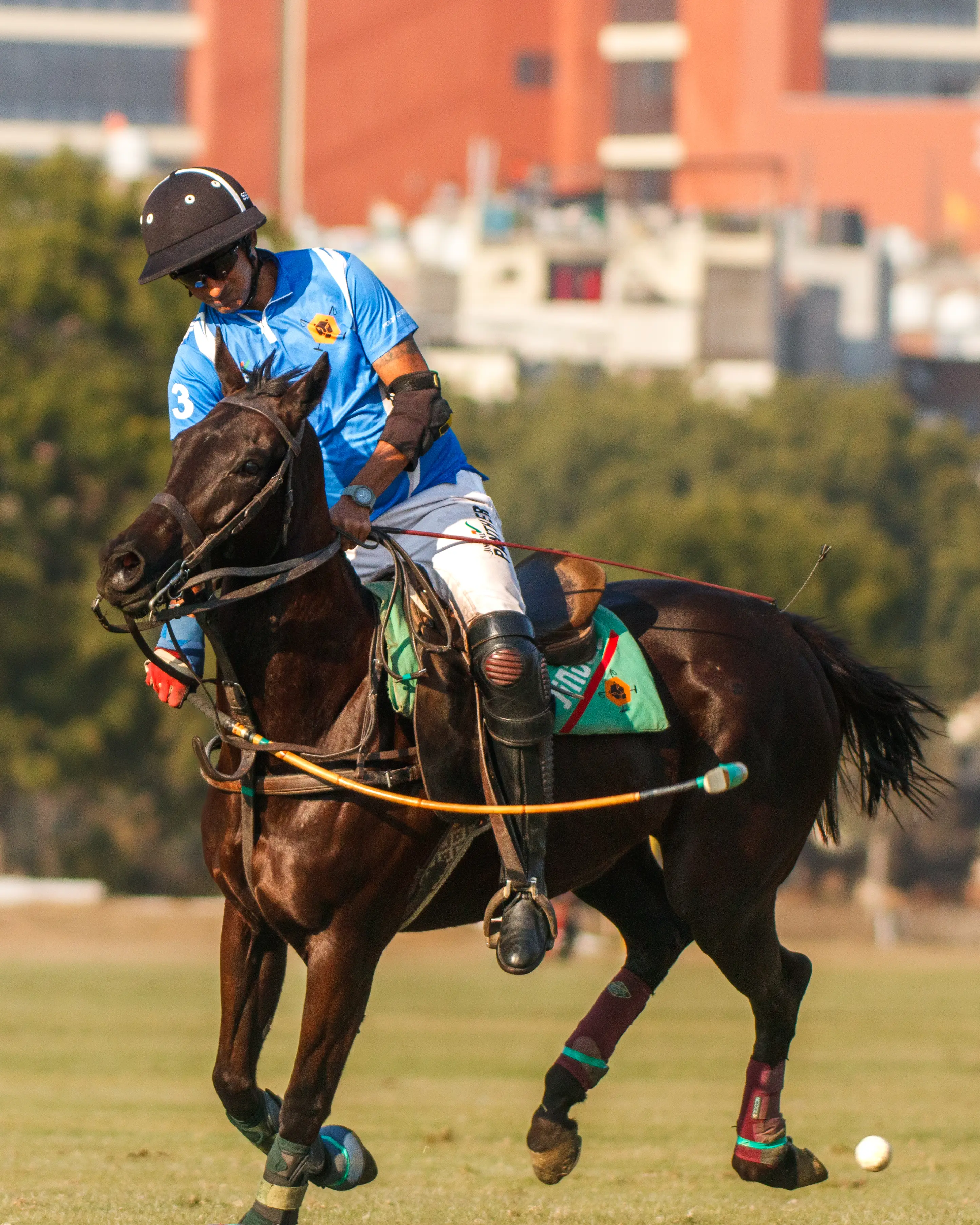 'Polo is a lifestyle, not a 9-to-5 job': Simran Shergill explains sport’s true essence