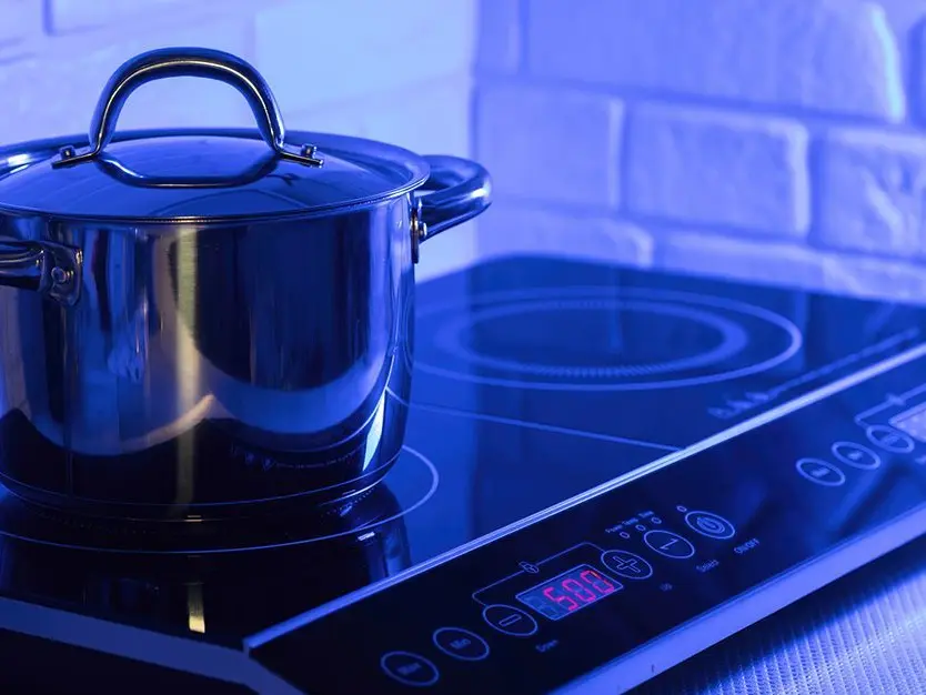 'LPG vs electric stove': How Iran War could lead to green energy revolution in Indian kitchens