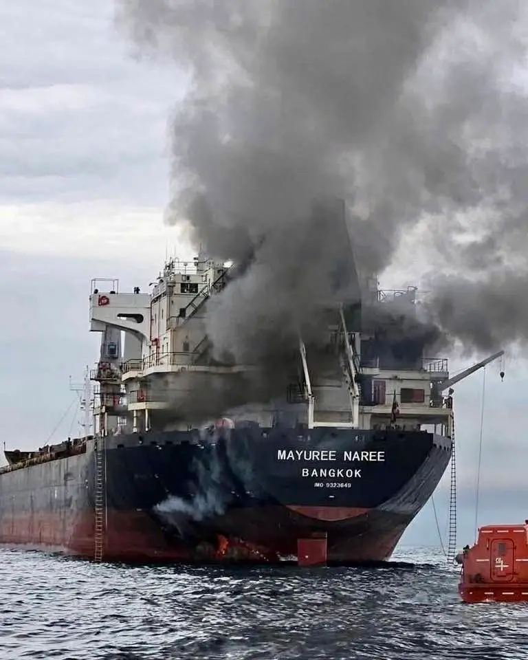 Thai-flagged cargo ship struck by missiles in Strait of Hormuz, 20 rescued