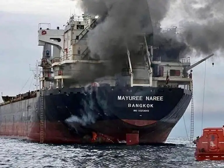 Thai-flagged cargo ship struck by missiles in Strait of Hormuz, 20 rescued Thai-flagged cargo ship struck by missiles in Strait of Hormuz, 20 rescued