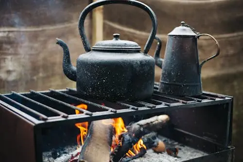 Firewood and traditional stoves