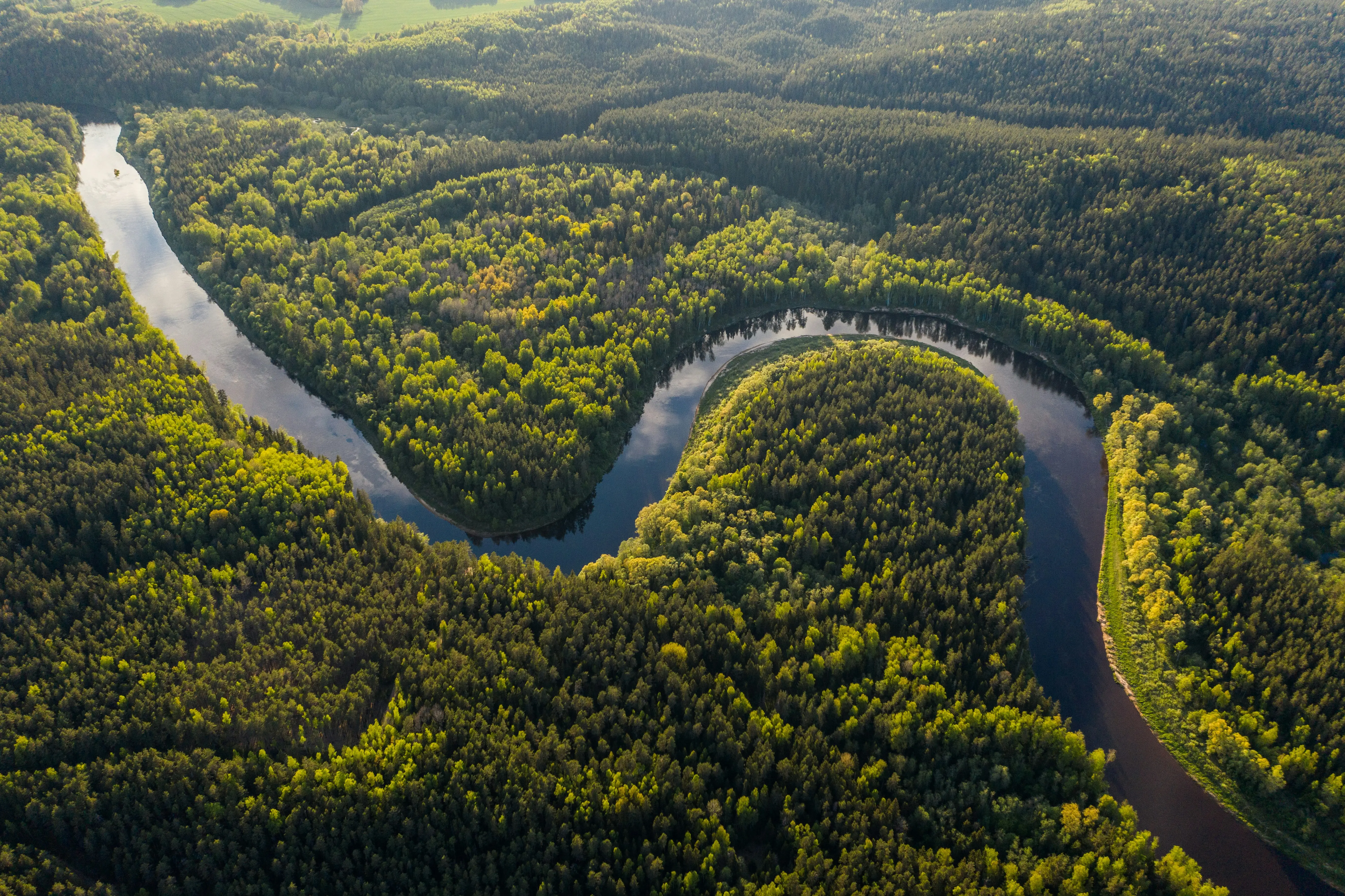 The Amazon (South America)