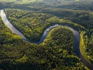 Top 7 rivers that serve as lifelines for millions around world: Check the list inside
