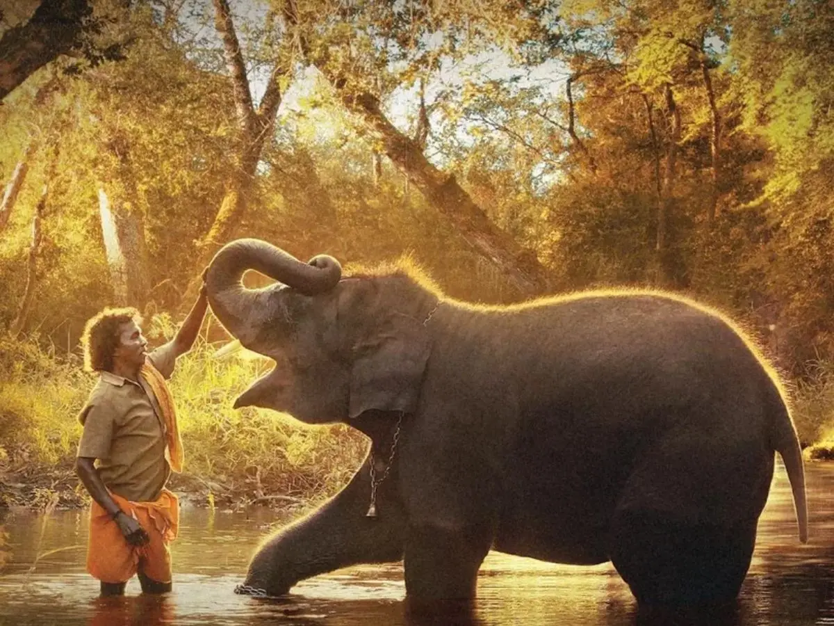 The Elephant Whisperers (2023)
