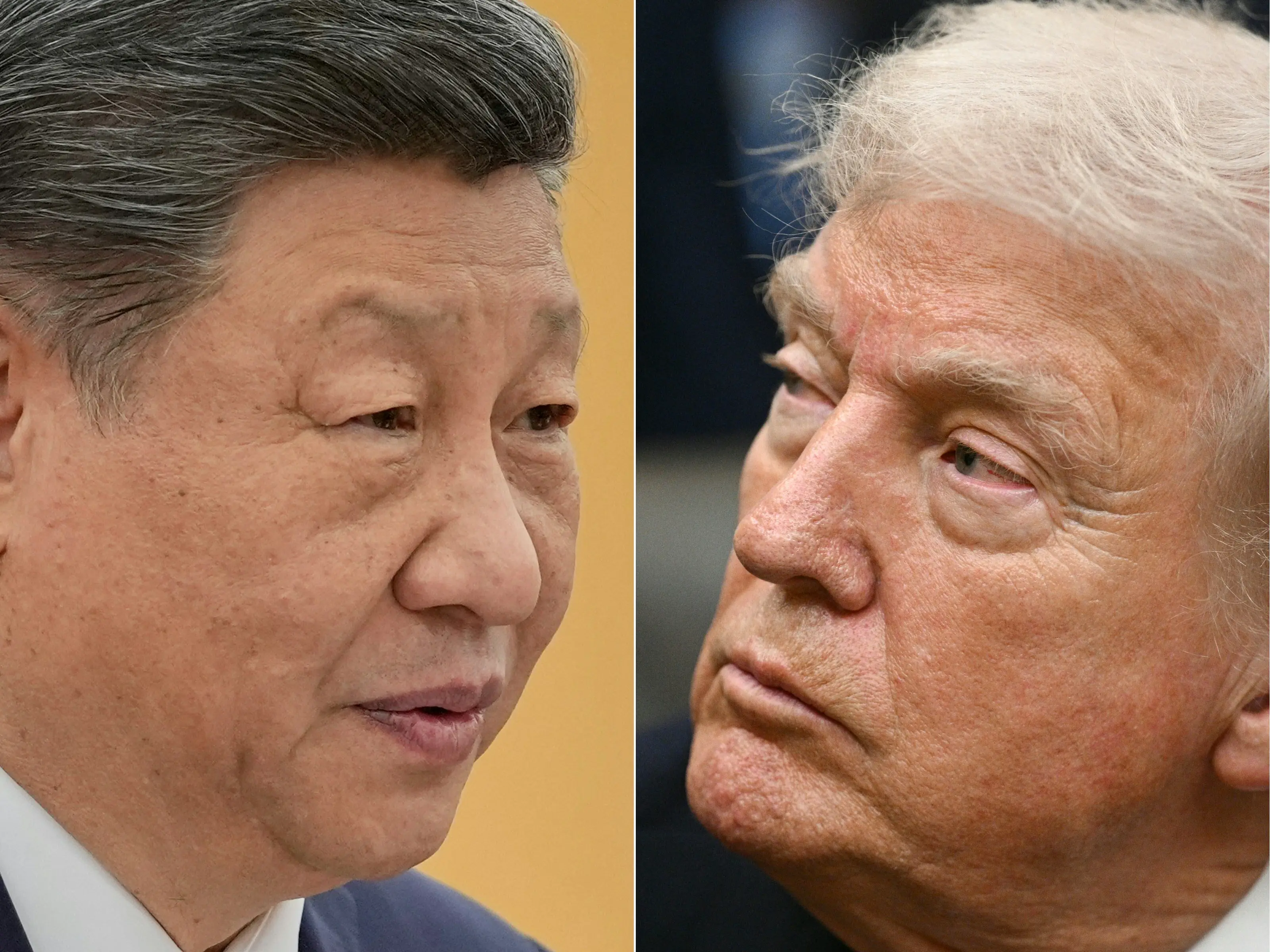 Trump wants to delay trip to China, summit with Xi for ‘a month or so’. Here's why Trump wants to delay trip to China, summit with Xi for ‘a month or so’. Here's why