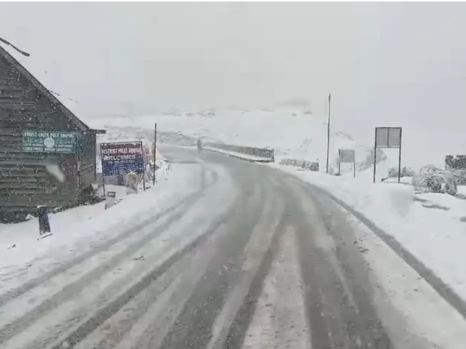 Fresh snowfall affects normal life in Kashmir, triggers rescues and road closures Fresh snowfall affects normal life in Kashmir, triggers rescues and road closures
