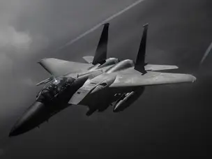 Master of manoeuvring: This jet has never lost a dogfight?