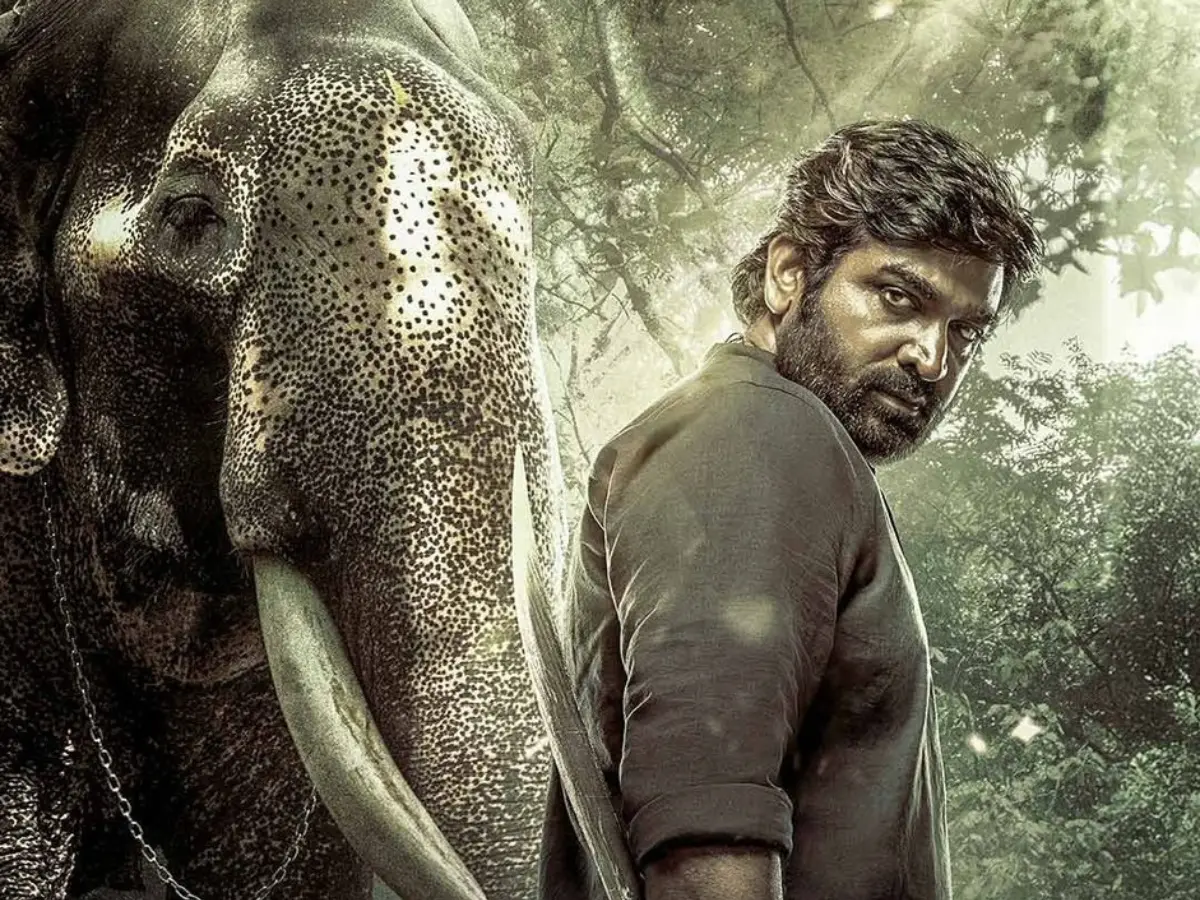 Kaattaan