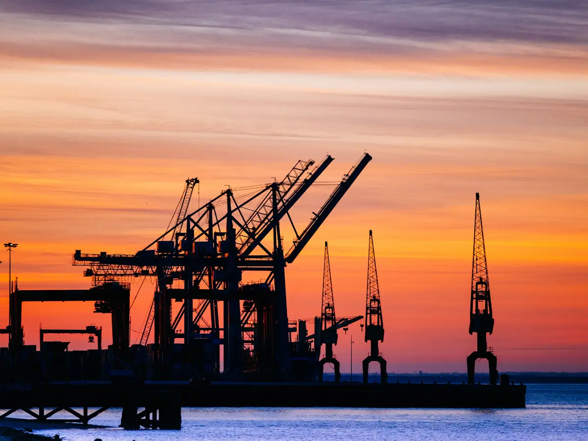 Rs 5,373 crore in mystery oil bets placed 15 minutes before Trump's Iran talks post: Report