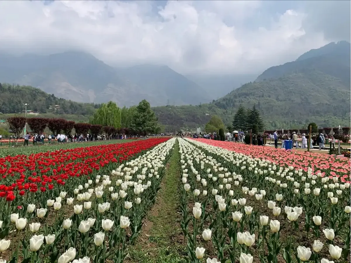 Kashmir witnesses tourism spike, authorities ramp up security