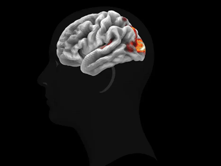 TRIBE v2: Meta introduces AI model that can predict human brain activity TRIBE v2: Meta introduces AI model that can predict human brain activity