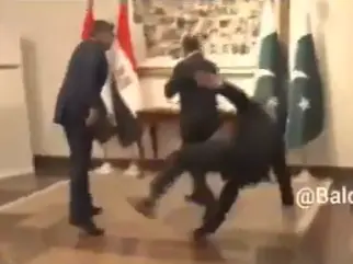 Pakistan's Dy PM Ishaq Dar appears to fall while welcoming Egyptian FM | Video Pakistan's Dy PM Ishaq Dar appears to fall while welcoming Egyptian FM | Video