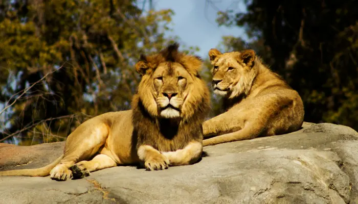 April Fools’ Day: Top 5 hilarious & epic pranks that became famous globally