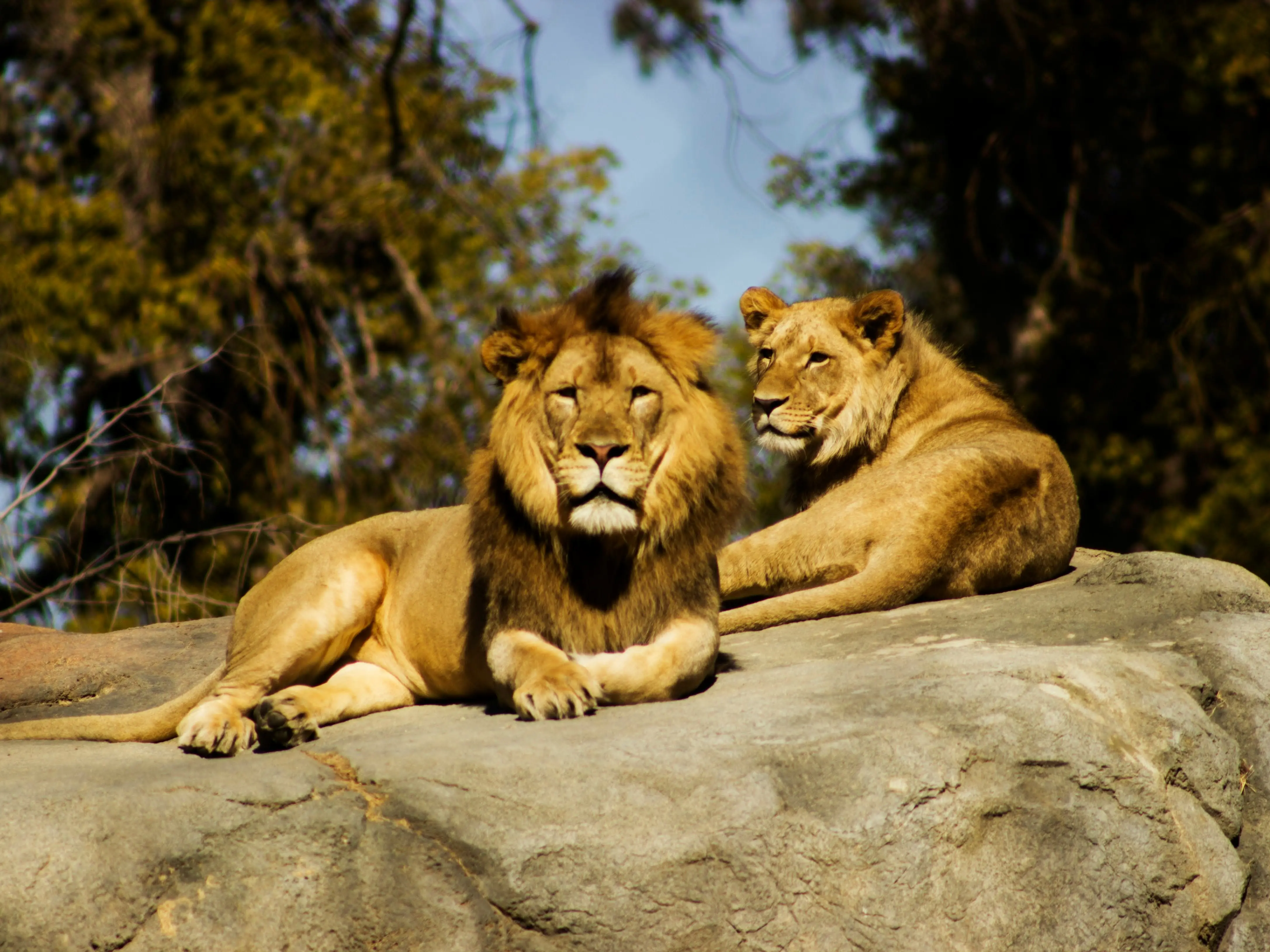 April Fools’ Day: Top 5 hilarious & epic pranks that became famous globally