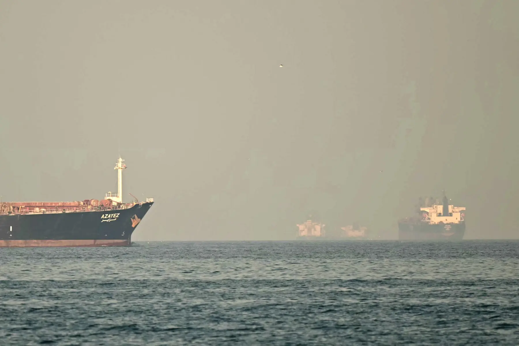 ‘Strait of Hormuz will be opened, but not for Trump’: Iranian lawmaker slams US president amid war