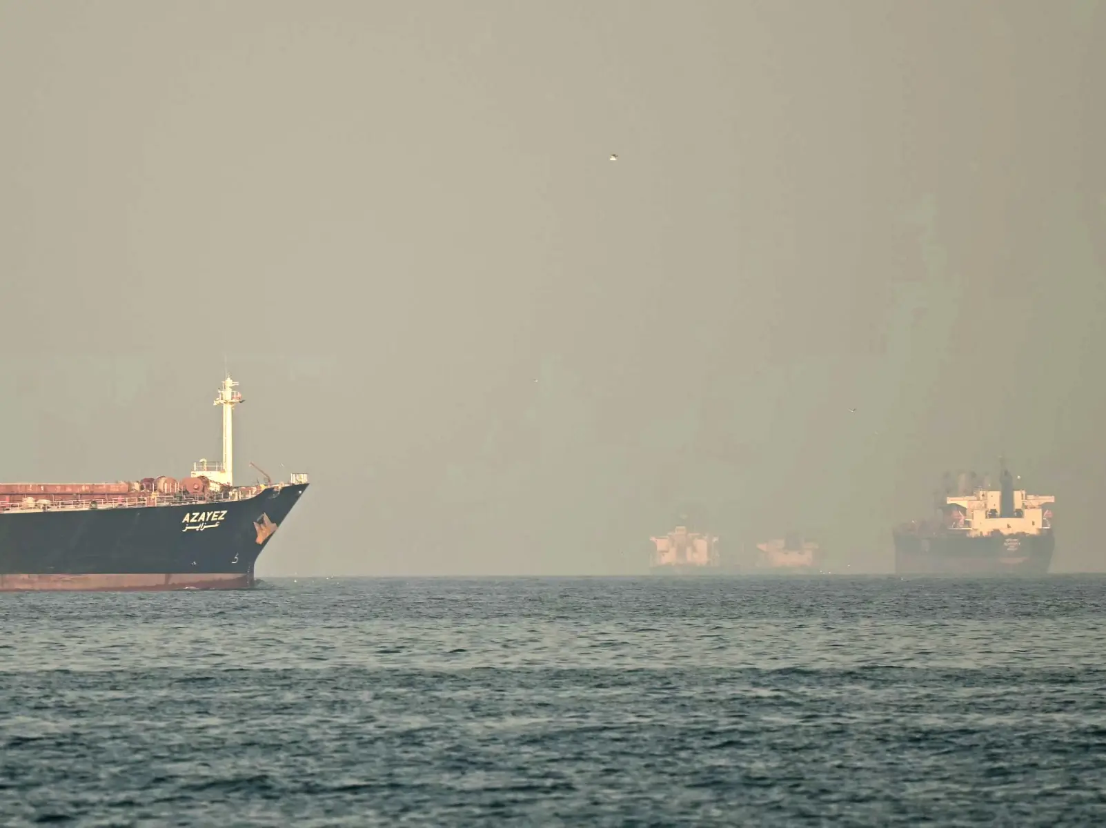‘Strait of Hormuz will be opened, but not for Trump’: Iranian lawmaker slams US president amid war ‘Strait of Hormuz will be opened, but not for Trump’: Iranian lawmaker slams US president amid war