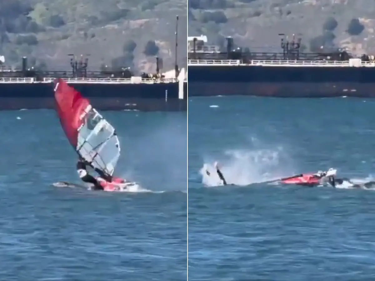 ‘Insane’ video captures windsurfer colliding with massive whale | WATCH