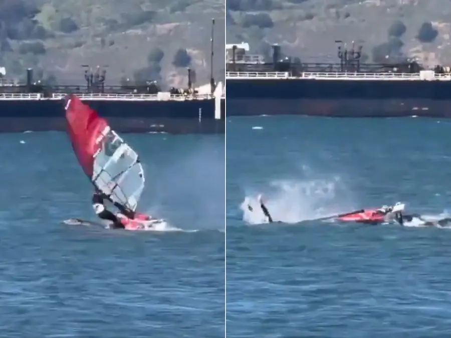 ‘Insane’ video captures windsurfer colliding with massive whale | WATCH