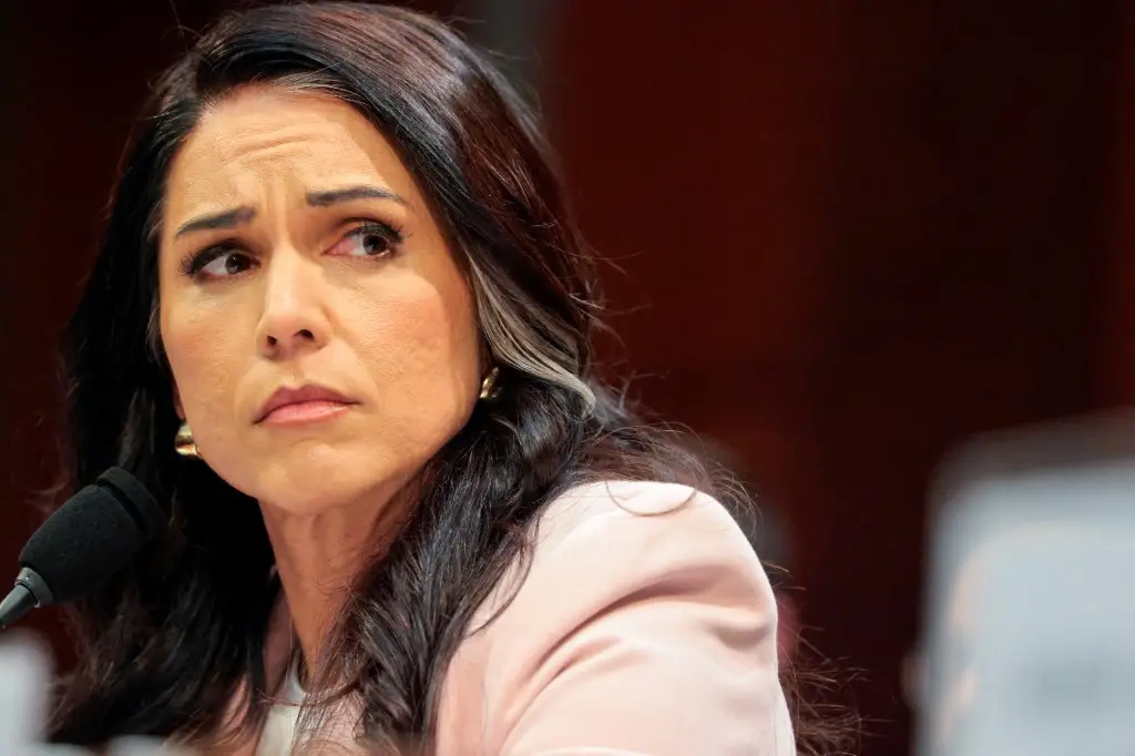 Is Trump considering replacing Tulsi Gabbard as intelligence chief? Here's what we know