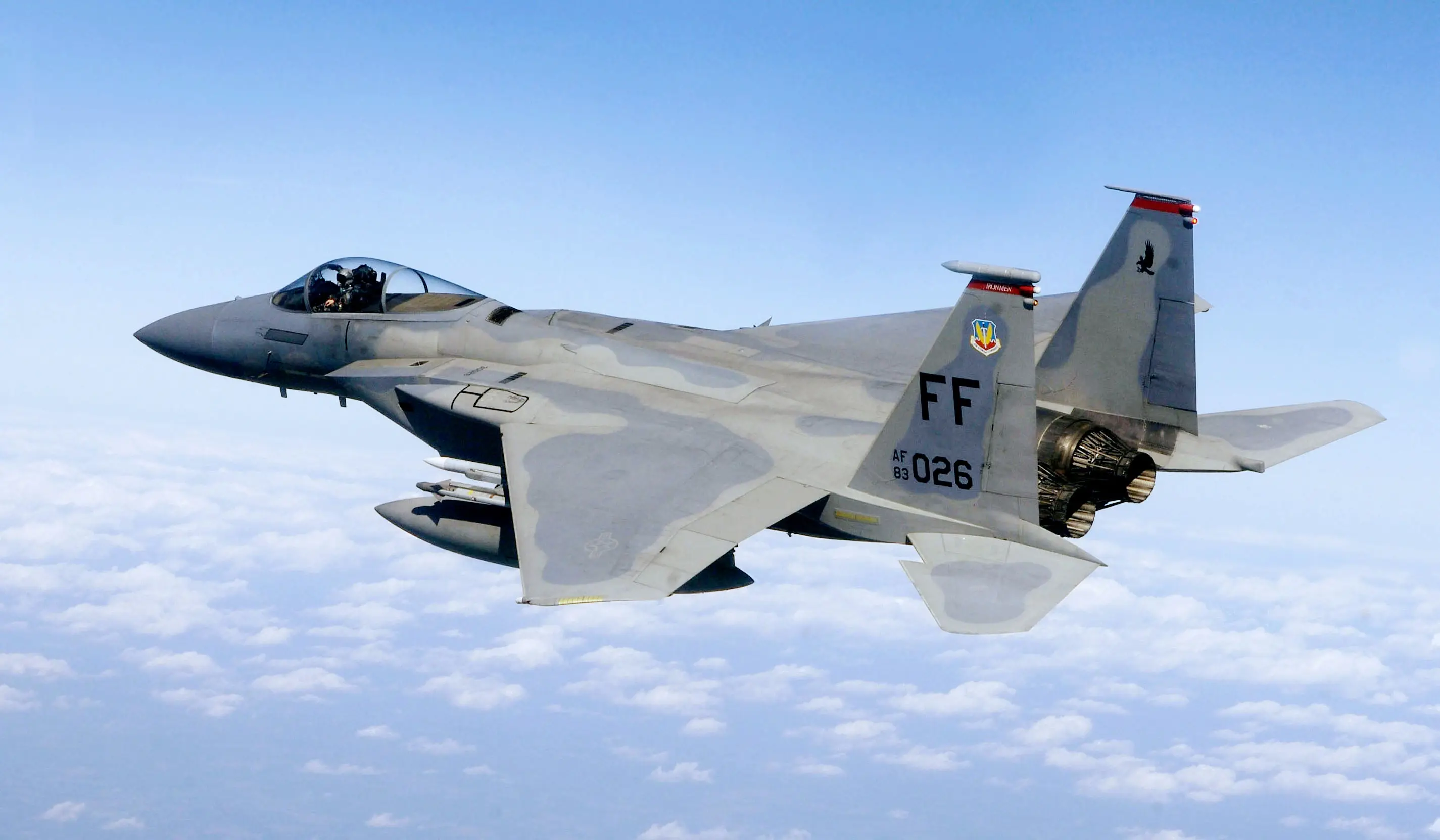 Massive Payload and Weapons Flexibility