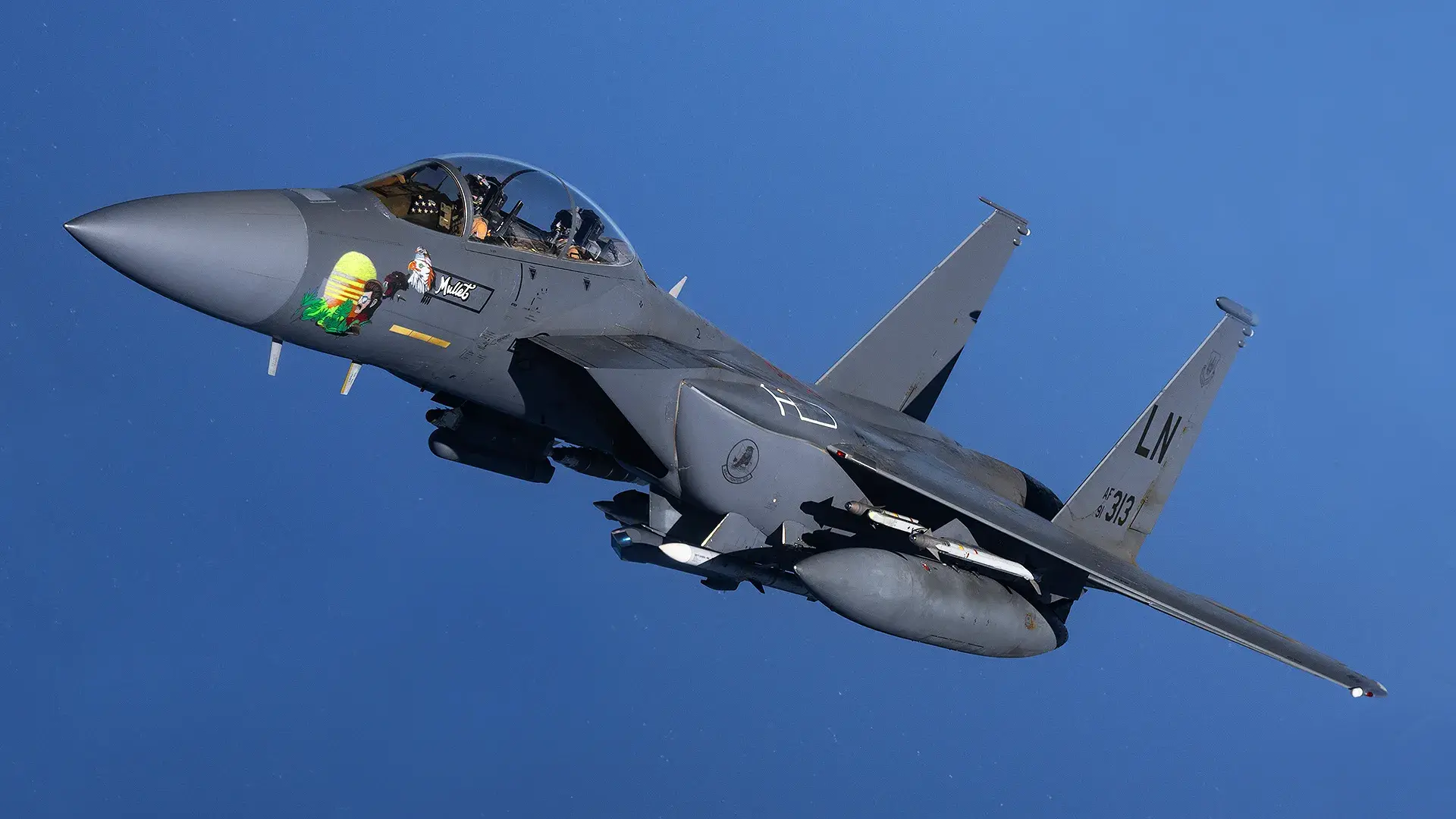 Why does the F-15E Strike Eagle have two pilots?