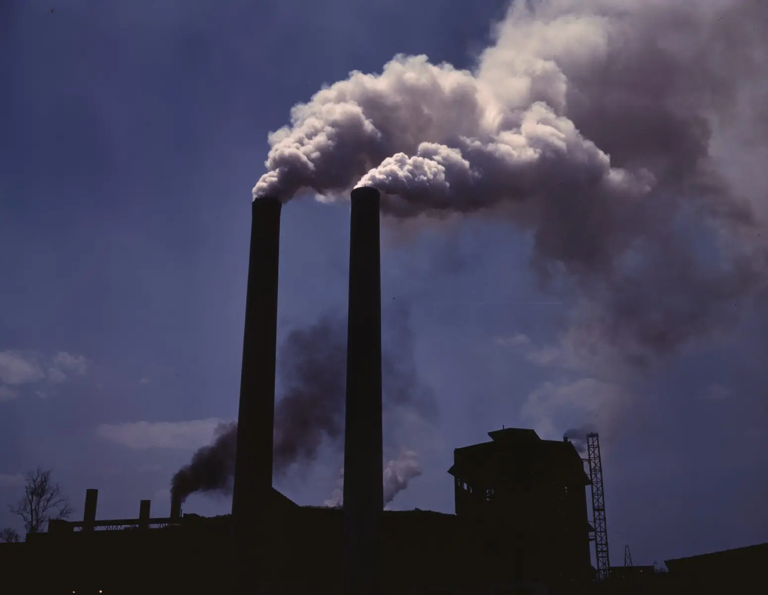 Long-term health impacts
