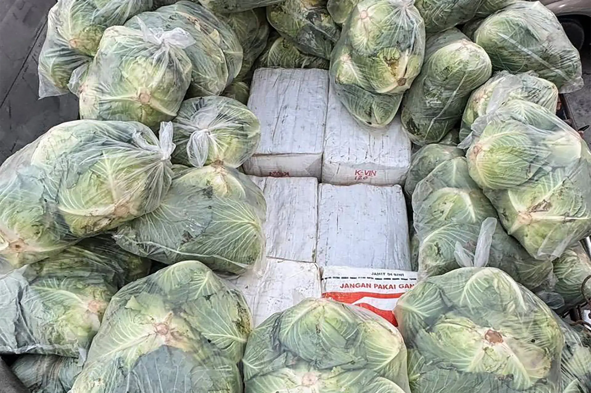 Cabbage hack to hide ketamine and meth: Thai police uncover massive drug truck