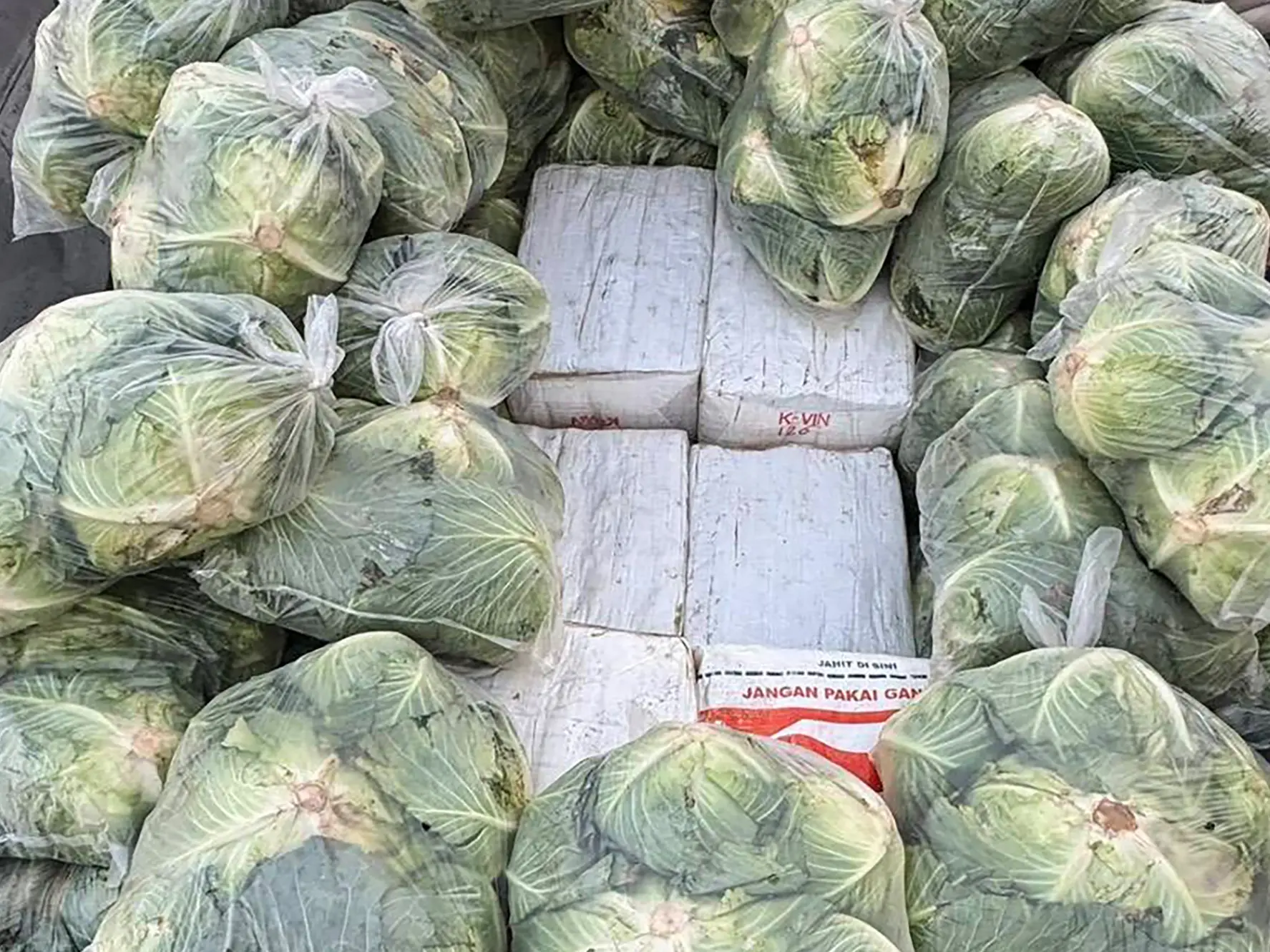 Cabbage hack to hide ketamine and meth: Thai police uncover massive drug truck Cabbage hack to hide ketamine and meth: Thai police uncover massive drug truck