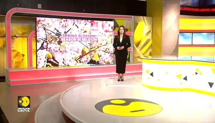 Belgium's Pear Heartland Bursts Into Bloom | Fruit Region Sees Early Bloom