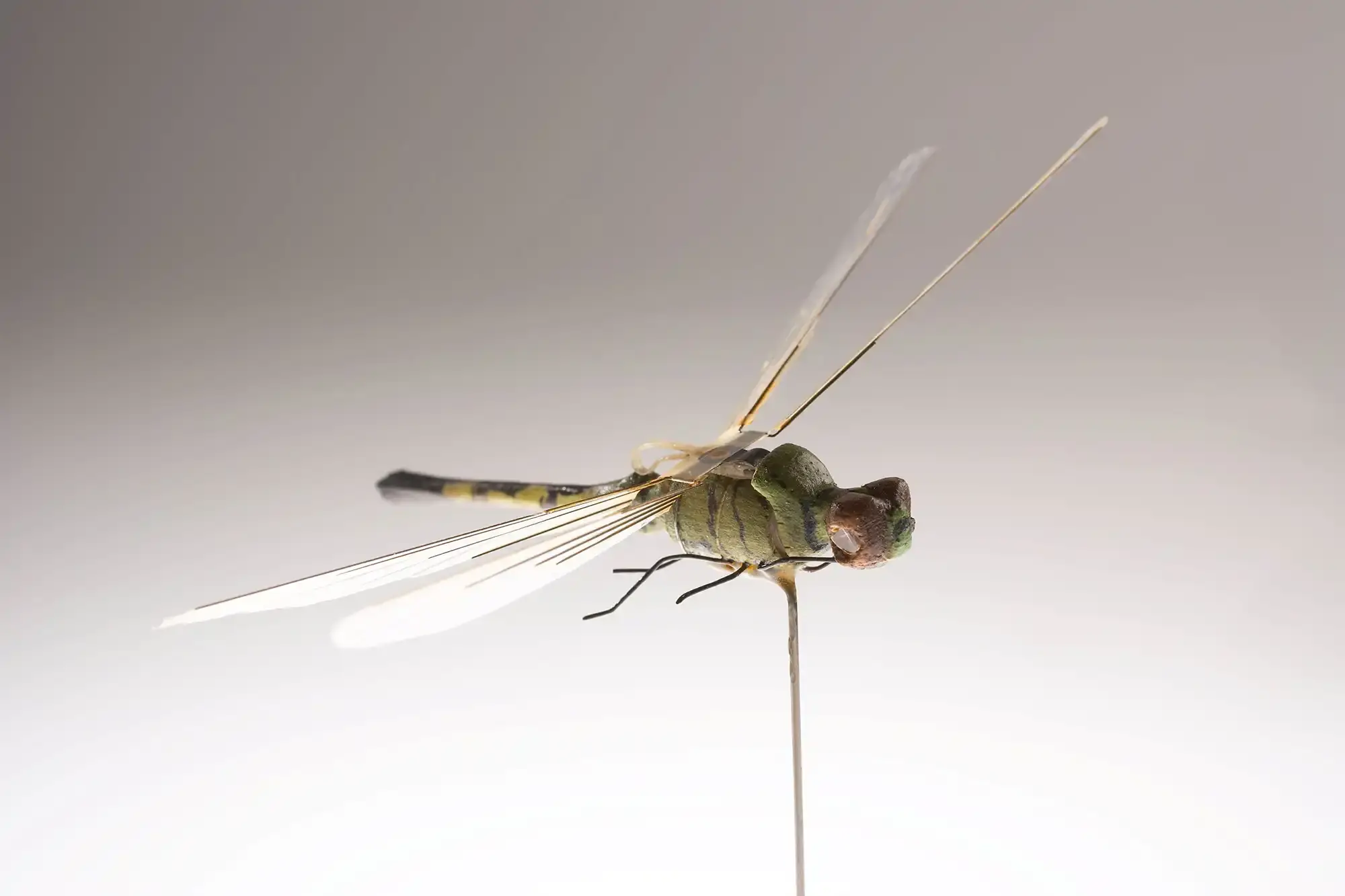 Autonomous Micro-Drones