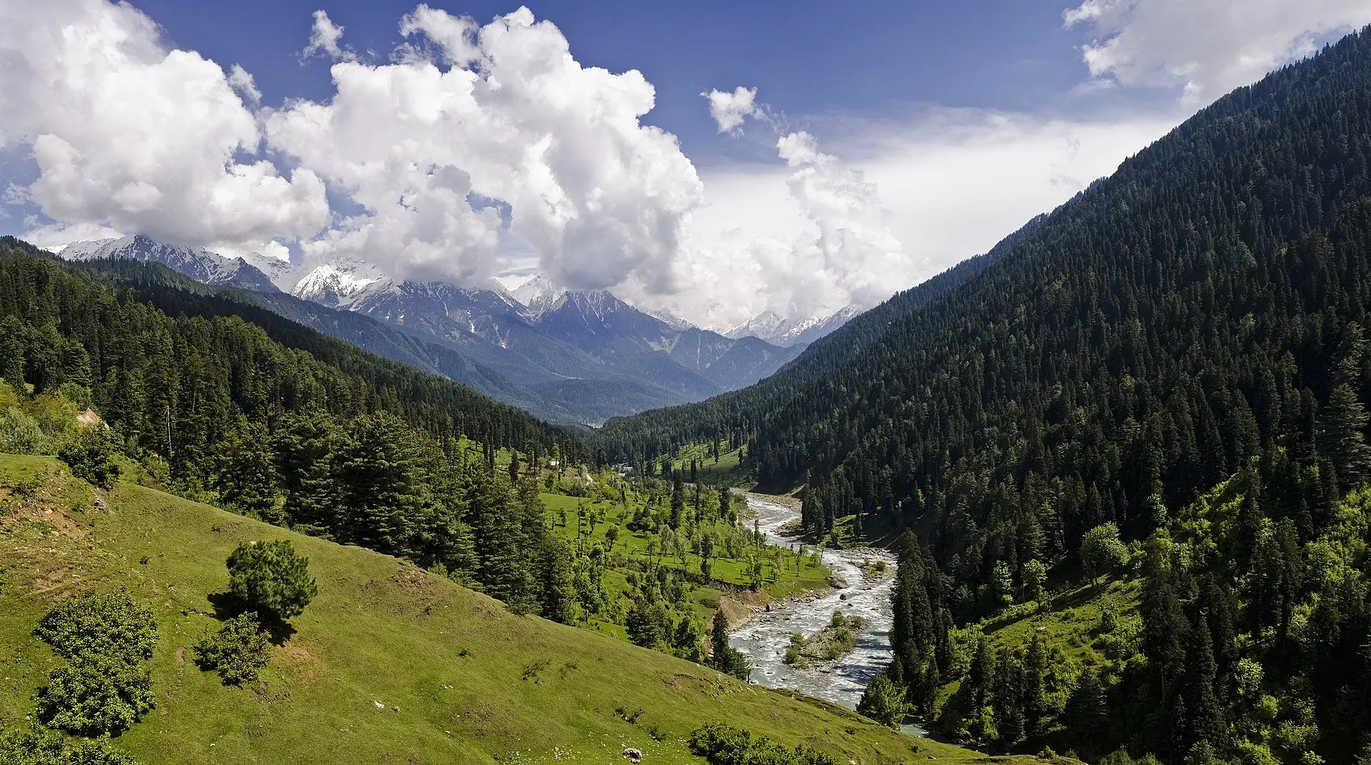 Over 500 lakes lost or shrinking in J&K, CAG flags urgent ecological threat
