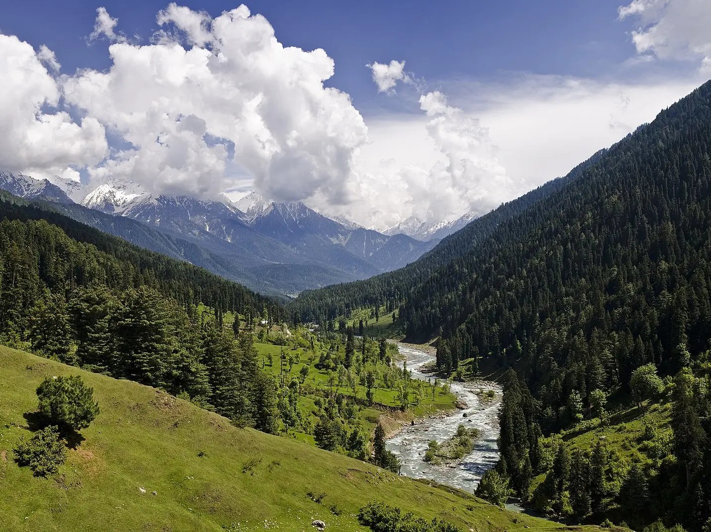 Over 500 lakes lost or shrinking in J&K, CAG flags urgent ecological threat Over 500 lakes lost or shrinking in J&K, CAG flags urgent ecological threat