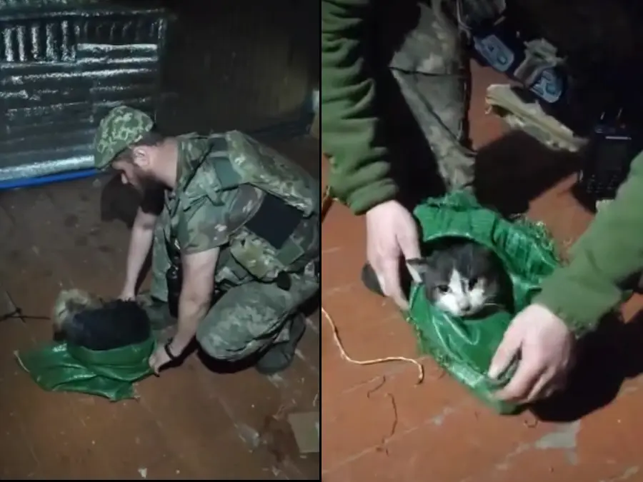 VIDEO: Dog and cat take 12km drone trip as Ukrainian soldiers rescue them from war zone