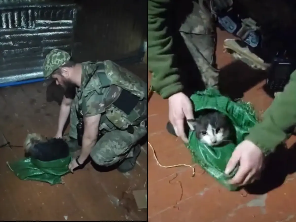 VIDEO: Dog and cat take 12km drone trip as Ukrainian soldiers rescue them from war zone