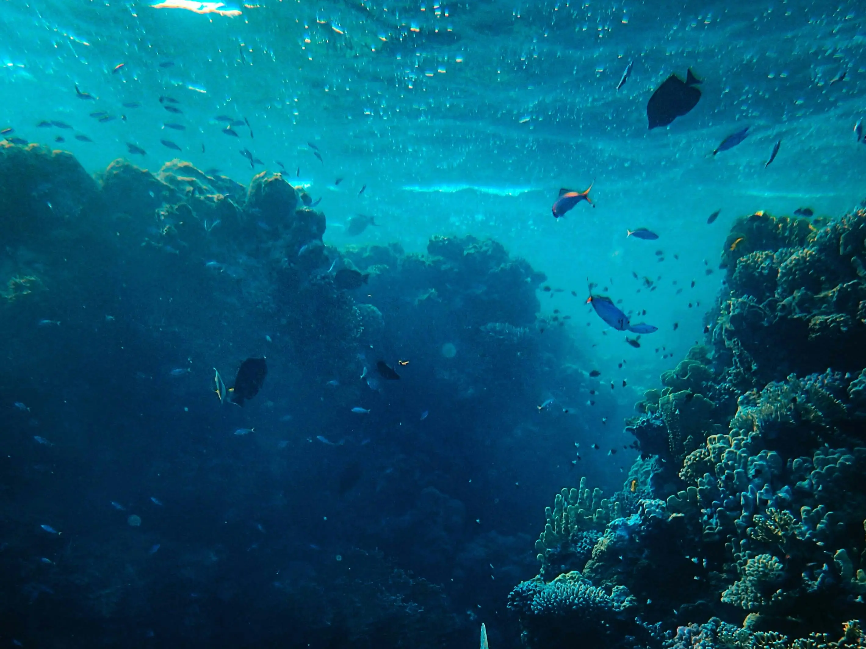 Sunken history: 2,400-year-old city found underwater in Turkey's Dicle Dam Lake - More details inside