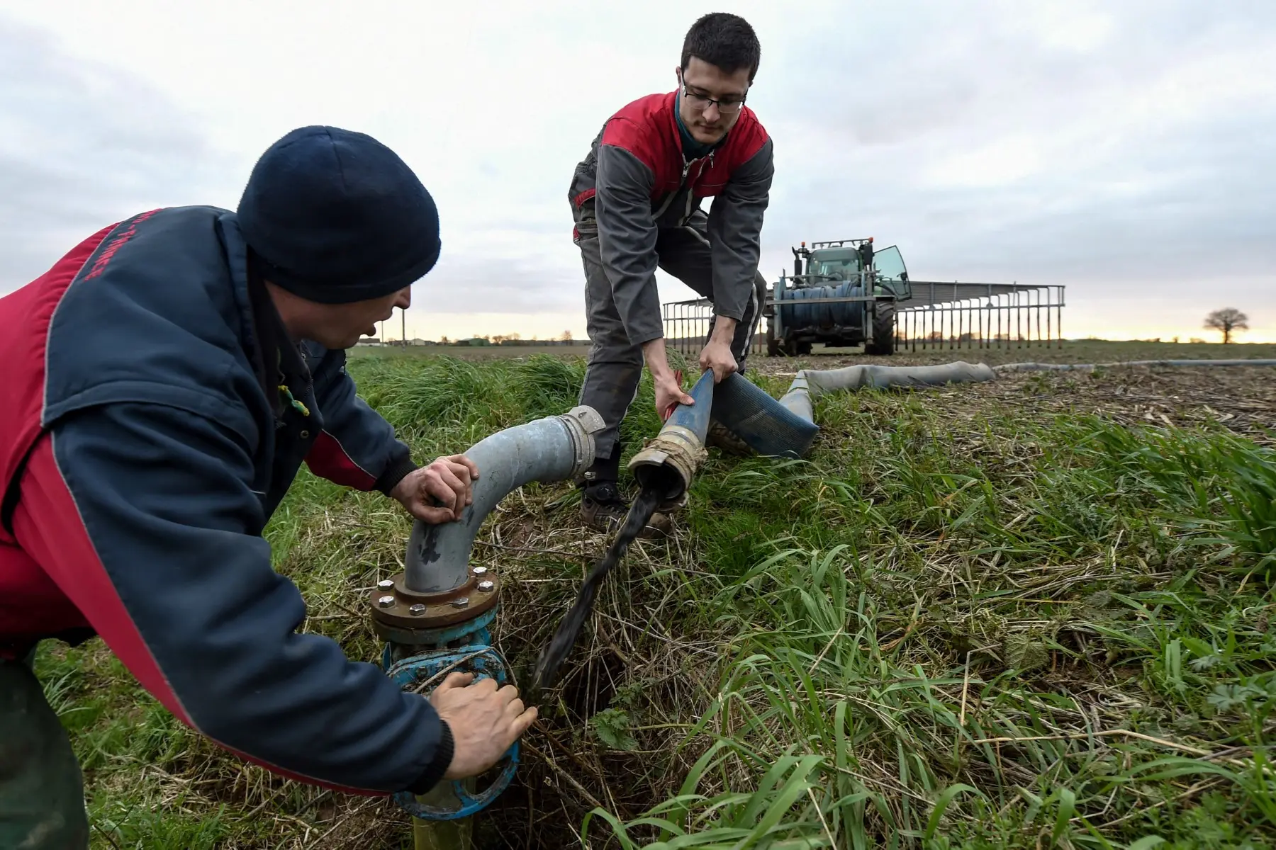 America’s hidden $5.7 billion goldmine! US sewage and manure may be key to ending reliance on synthetic fertilisers